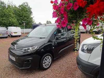 Clarkson of Glasgow hanging baskets